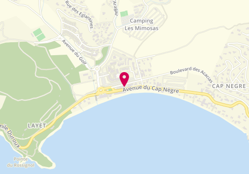 Plan de Cap Nègre Immobilier, Le
191 Avenue du Cap Nègre
Cavalière, 83980 Le Lavandou, France