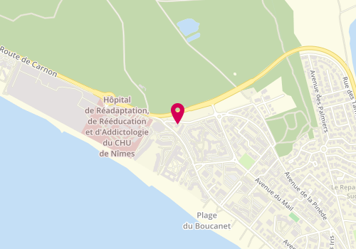 Plan de Boucanet Immobilier, 1419 avenue de la Pinède, 30240 Le Grau-du-Roi