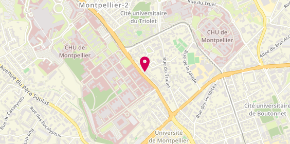 Plan de Exact Immo, 56 avenue Charles Flahault, 34090 Montpellier