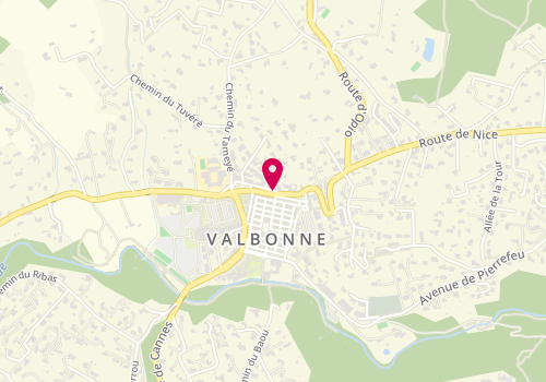Plan de Plein Sud Properties, 24 Boulevard Carnot, 06560 Valbonne