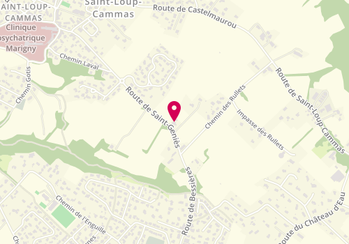 Plan de Carole NESPOULOUS Immobilier, Route de Saint-Génies, 31140 Saint-Loup-Cammas