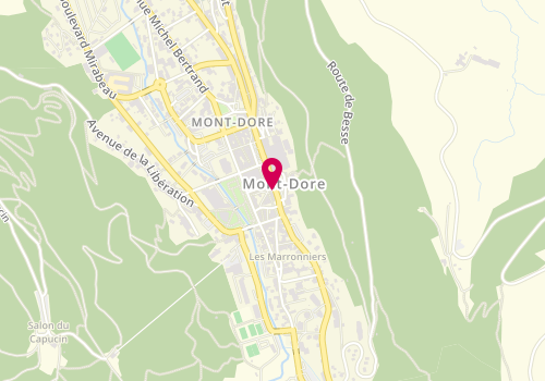 Plan de Auvergne Mont Dore Immobilier, 10 Rigny, 63240 Le Mont Dore