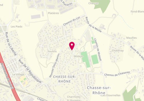 Plan de Criner Immobilier, 102 chemin des Roches, 38670 Chasse-sur-Rhône