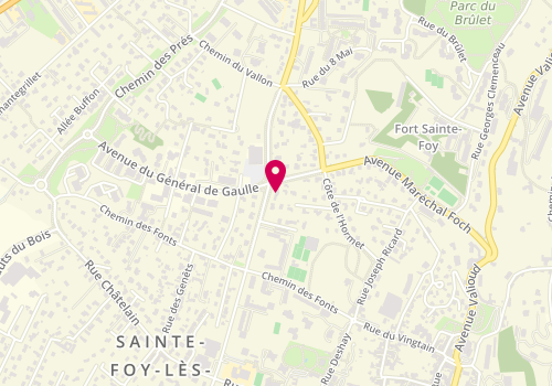Plan de Sainte Foy Immobilier, 39 avenue Maurice Jarrosson, 69110 Sainte-Foy-lès-Lyon