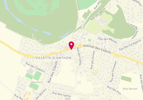 Plan de Berti Immobilier, Bois Bernet, 38280 Villette-d'Anthon