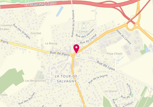 Plan de Cote Salvagny Immobilier, 2 Avenue Monts d'Or, 69890 La Tour-de-Salvagny