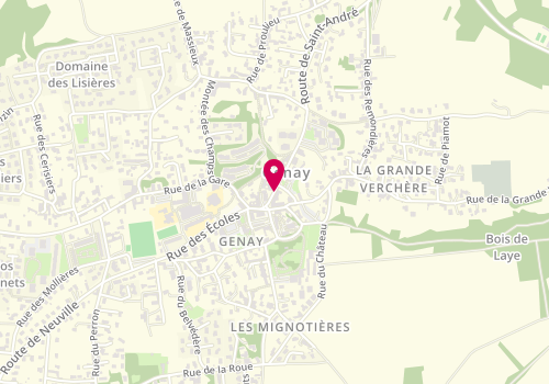 Plan de Valdor l'Agence Immobilière, 26 Route de Saint-André de Corcy, 69730 Genay