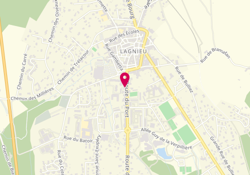 Plan de Gonin Immobilier, 28 Route du Port, 01150 Lagnieu