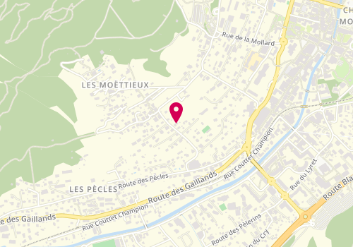 Plan de Chamonix Immobilier, 268 Mnt de la Croix des Moussoux, 74400 Chamonix-Mont-Blanc