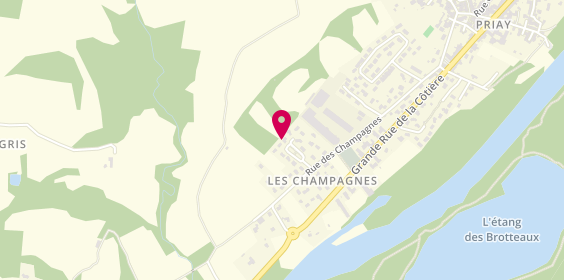 Plan de Des Champagnes, Priay
Lieu-Dit Les Grandes Champagnes, 01160 Priay