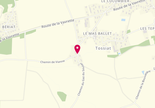 Plan de Thibaud Venet Immobilier, 372 Chemin du Gaz du Soulier, 01250 Tossiat