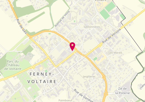 Plan de Foncia Transaction Ferney Voltaire, 55 avenue Voltaire, 01210 Ferney-Voltaire