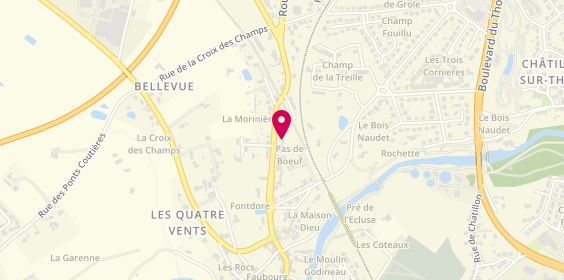 Plan de Louis GALLARD Conseiller immobilier IAD Parthenay, 30 avenue de la Morinière, 79200 Châtillon-sur-Thouet