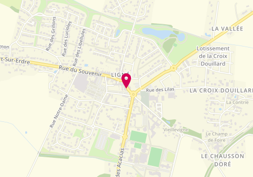 Plan de Ligne Immobilier, 50 Rue Centre, 44850 Ligné