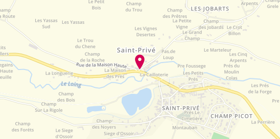 Plan de Nicole ROBIN -EI- Capifrance immobilier Saint-Privé/Bléneau, Les Antres de Bauvais, 89220 Saint-Privé