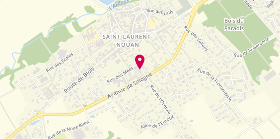 Plan de Rives Loire Immobilier, 20 Rue de la Poste, 41220 Saint-Laurent-Nouan