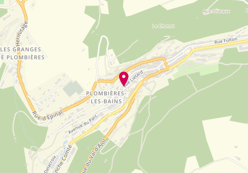 Plan de Vôge Immo, 25 Rue Liétard, 88370 Plombières-les-Bains
