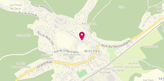 Plan de SCHWANGER Philippe, 17 Rue de la Forêt, 67130 Wisches