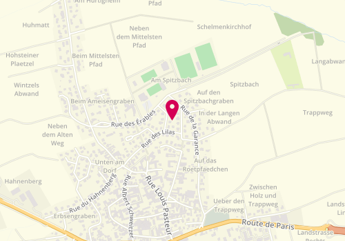 Plan de Borschneck Immobilier, 6 Rue des Orchidées, 67117 Ittenheim