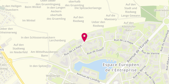 Plan de Rive Gauche CBRE, 12 la Haye, 67300 Schiltigheim