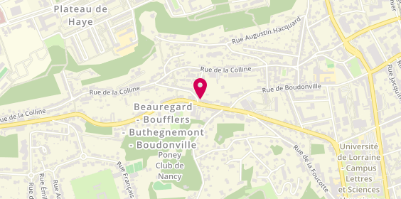 Plan de Renoir et Valoris Liberation, 2 Rue Saint-Mansuy, 54000 Nancy