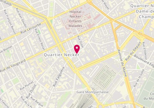 Plan de Lionceau Immobilier, 45 Rue Falguière, 75015 Paris