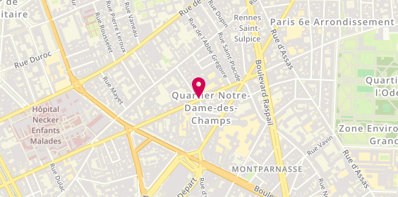 Plan de Immobilier de carné, 100 Rue de Vaugirard, 75006 Paris