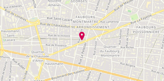 Plan de Société Michel Deniau, 37 Rue la Fayette, 75009 Paris