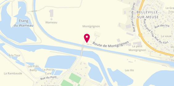 Plan de Montgrignon, Mr Aubry Pierre
17 Route de Montgrigon, 55430 Belleville-sur-Meuse